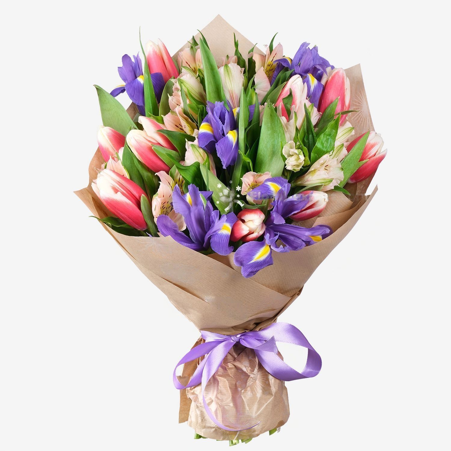 La magie des tulipes