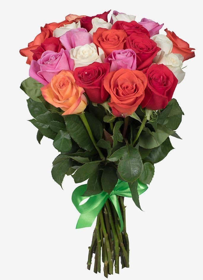 25 Roses arc-en-ciel