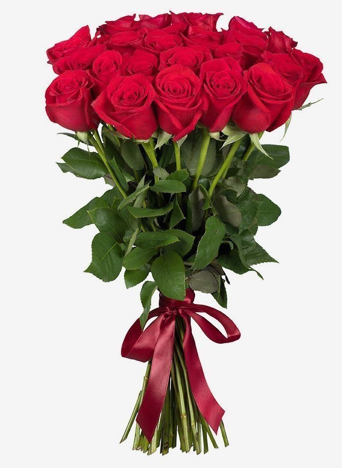 25 roses rouges