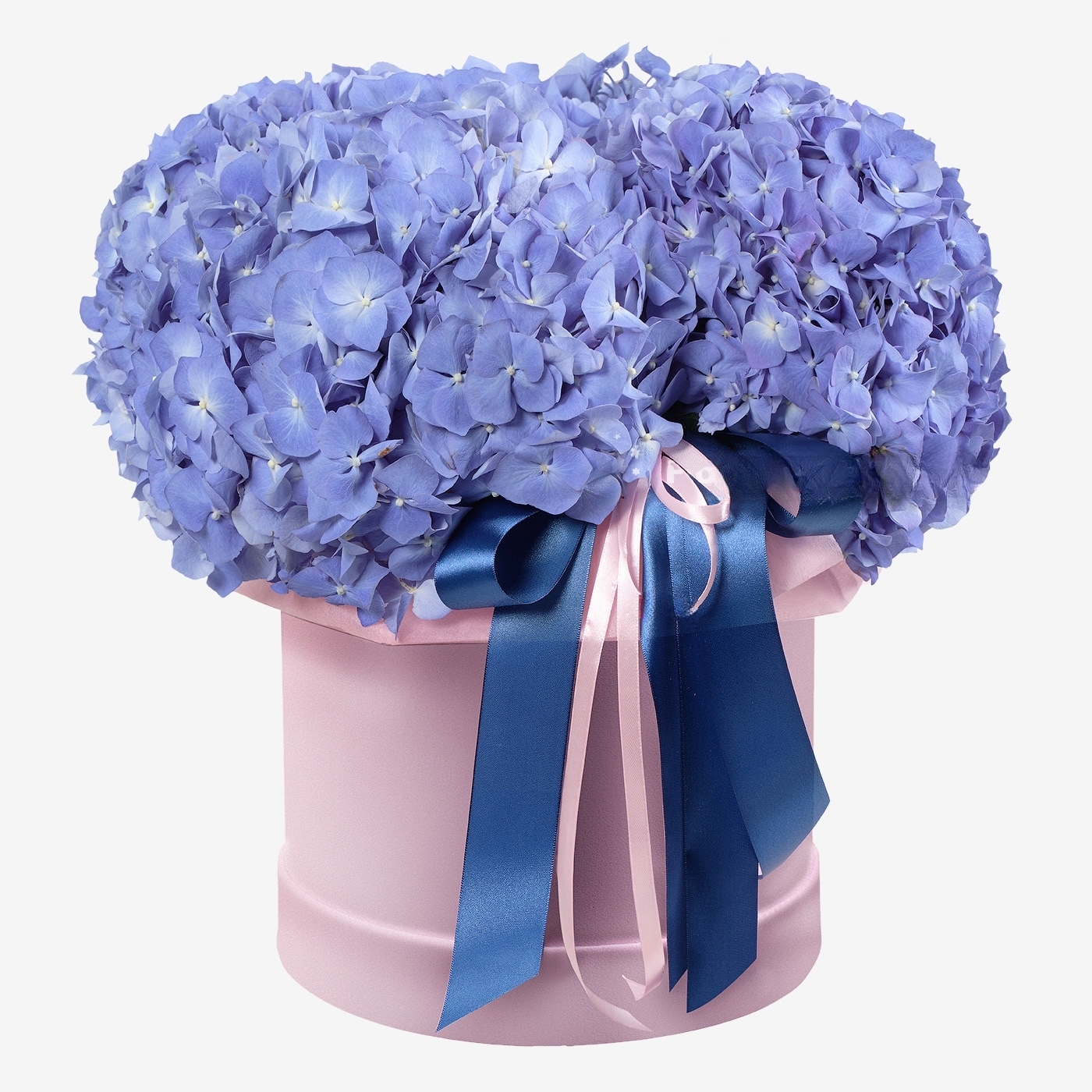 Boîte d&#039;hortensias
