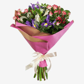 Aurore lilas