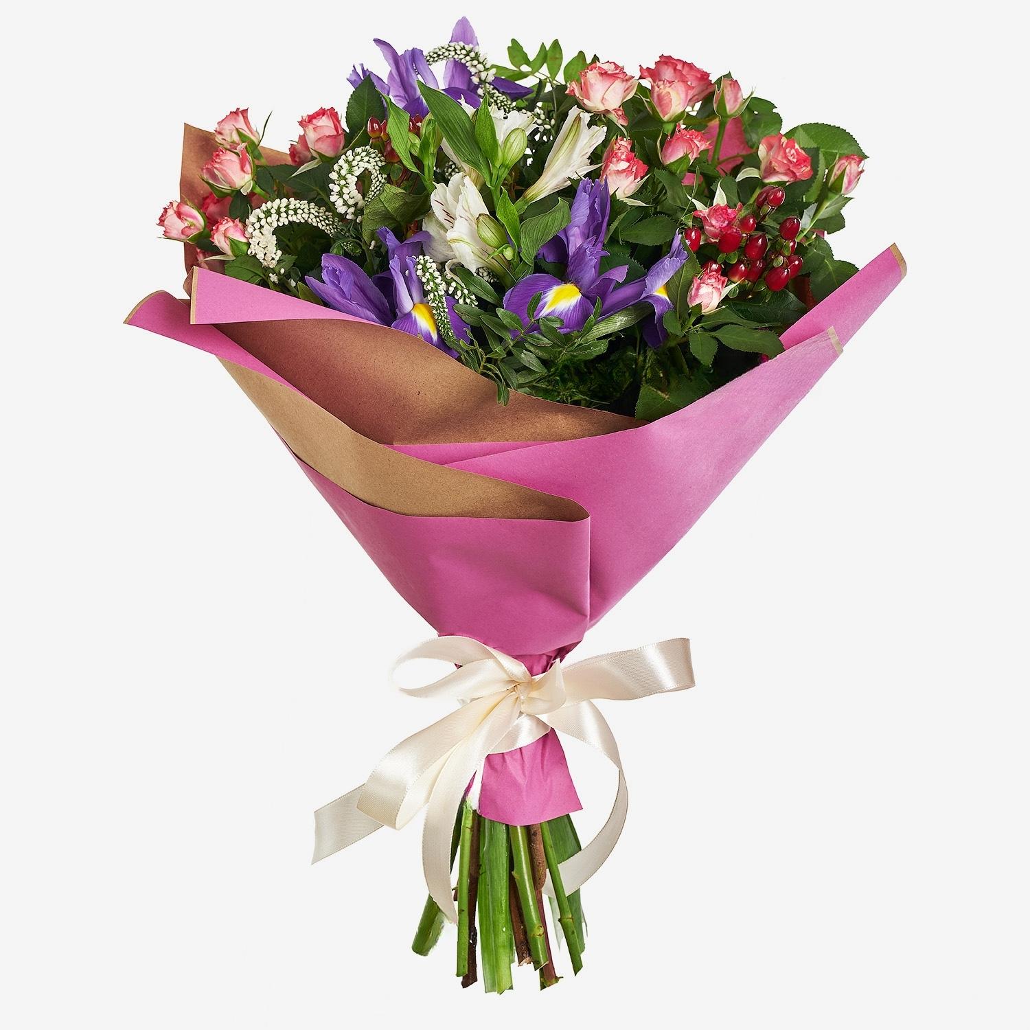 Aurore lilas