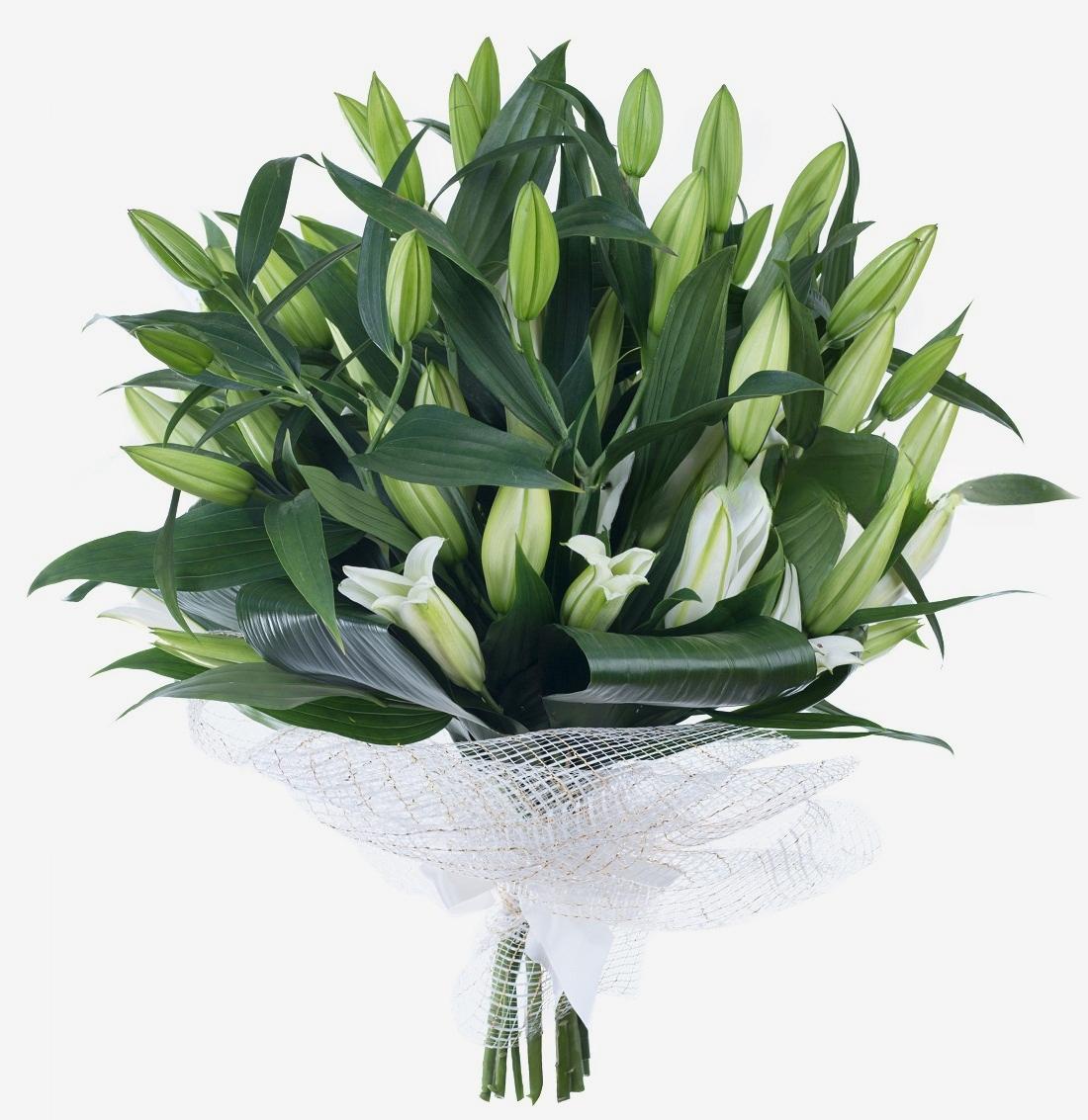 Bouquet de 12 Lys