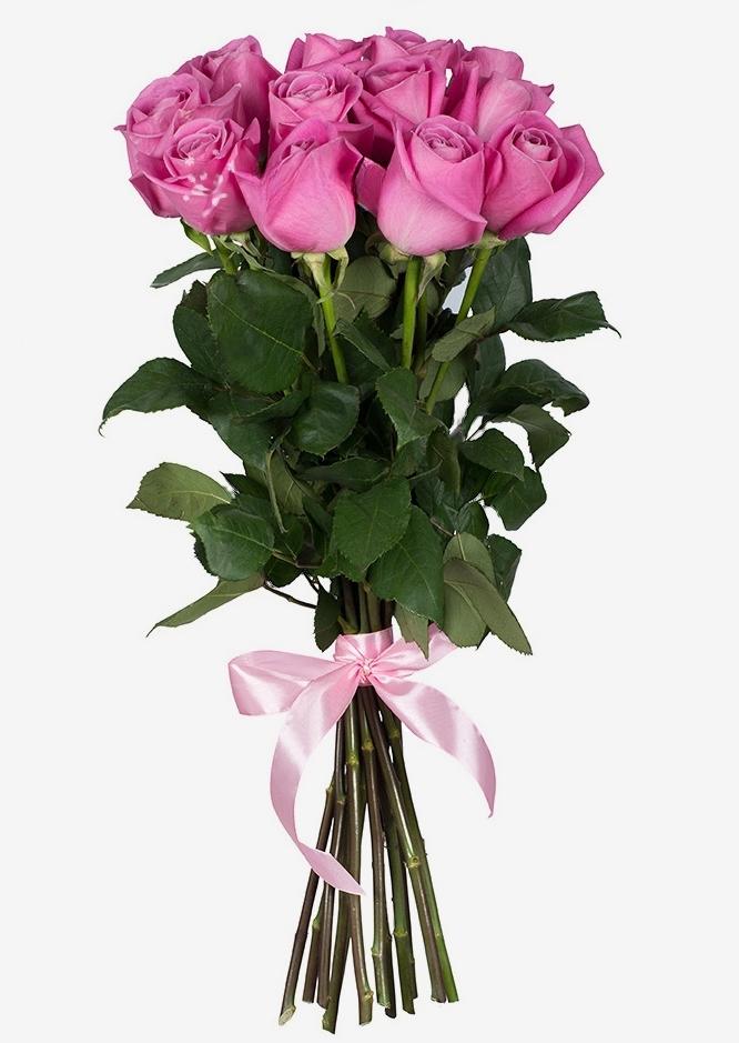 11 Roses roses