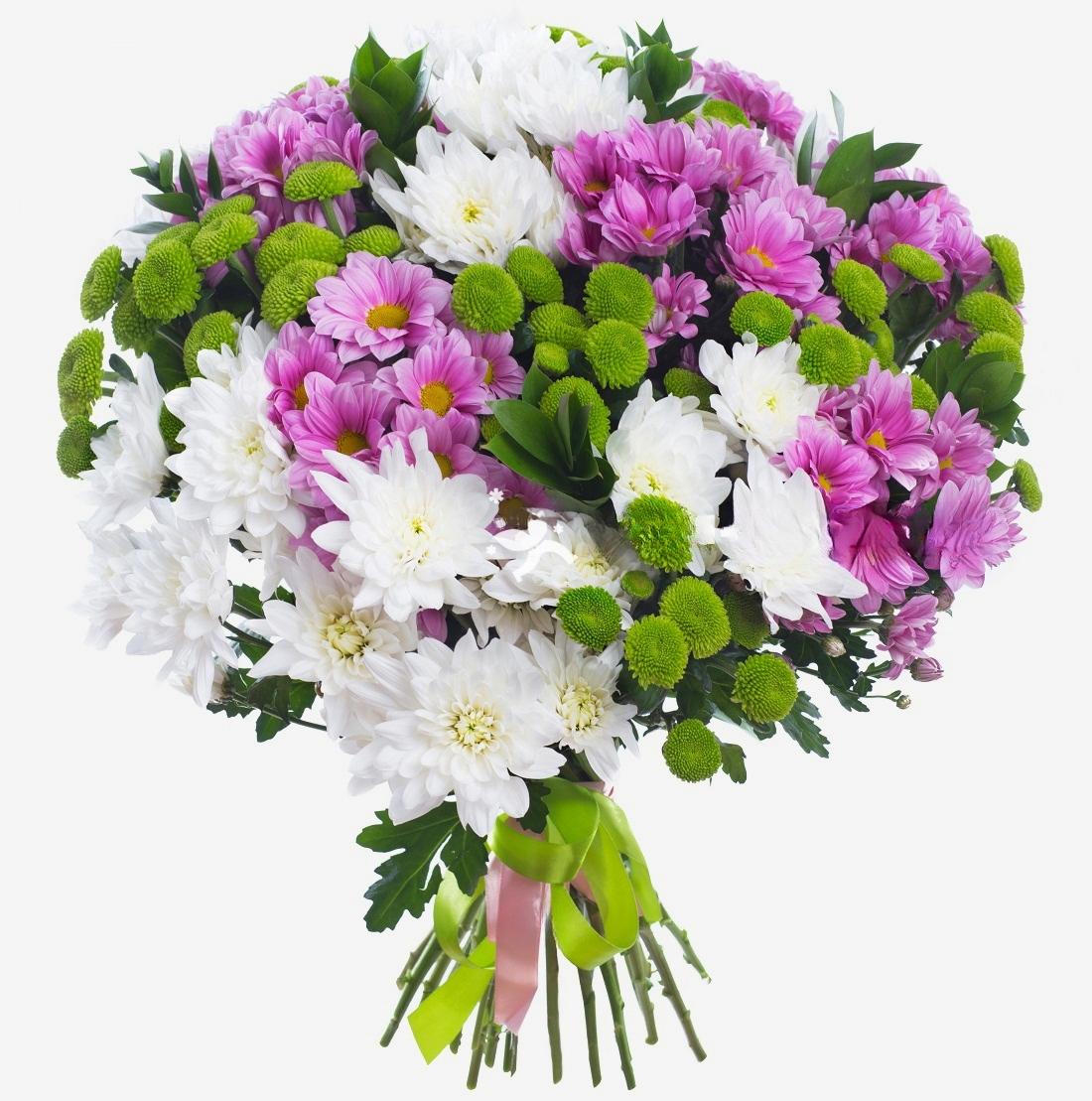 25 chrysanthèmes