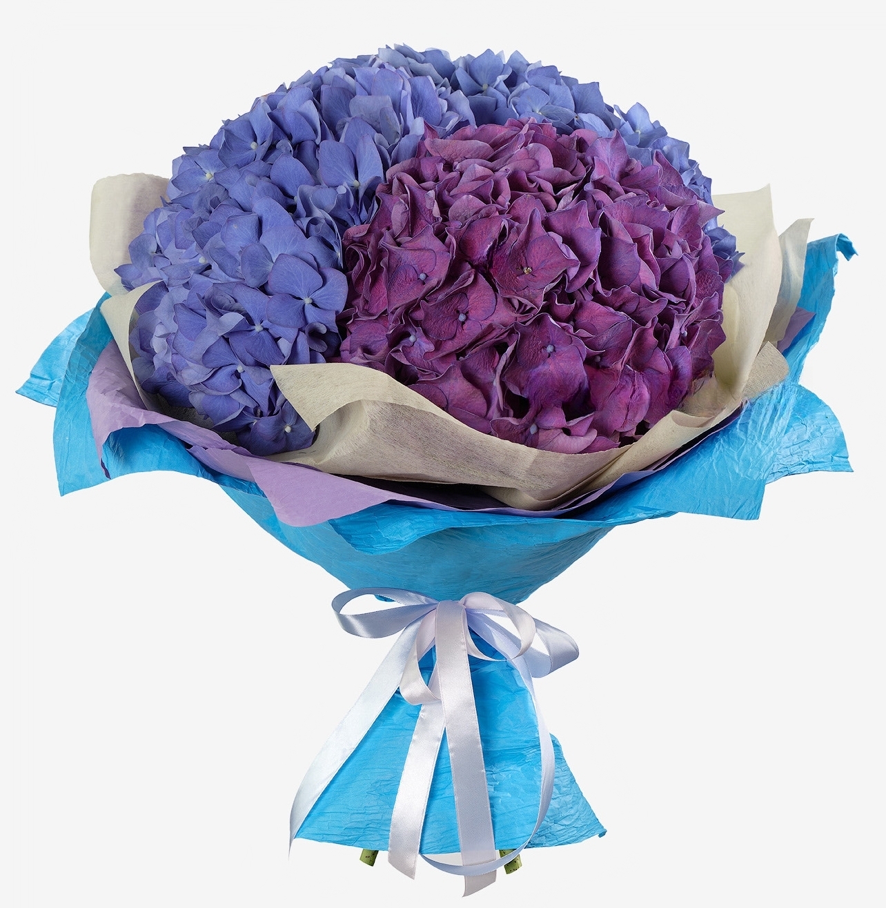 Bouquet d&#039;hortensias