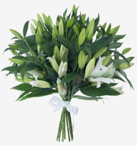 Bouquet de 17 Lys