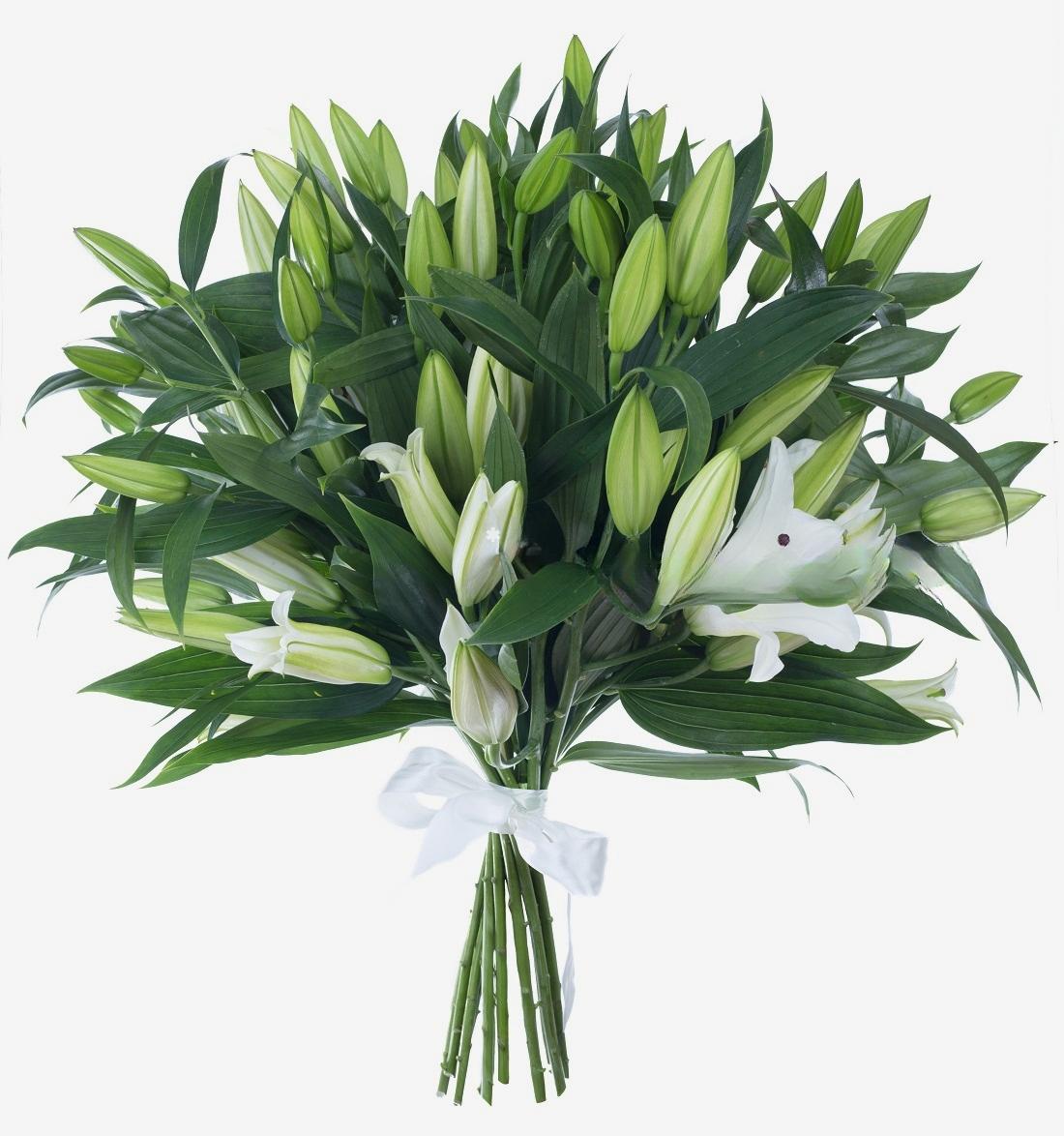 Bouquet de 17 Lys