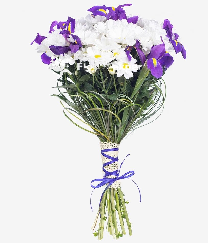 Iris d&#039;amour