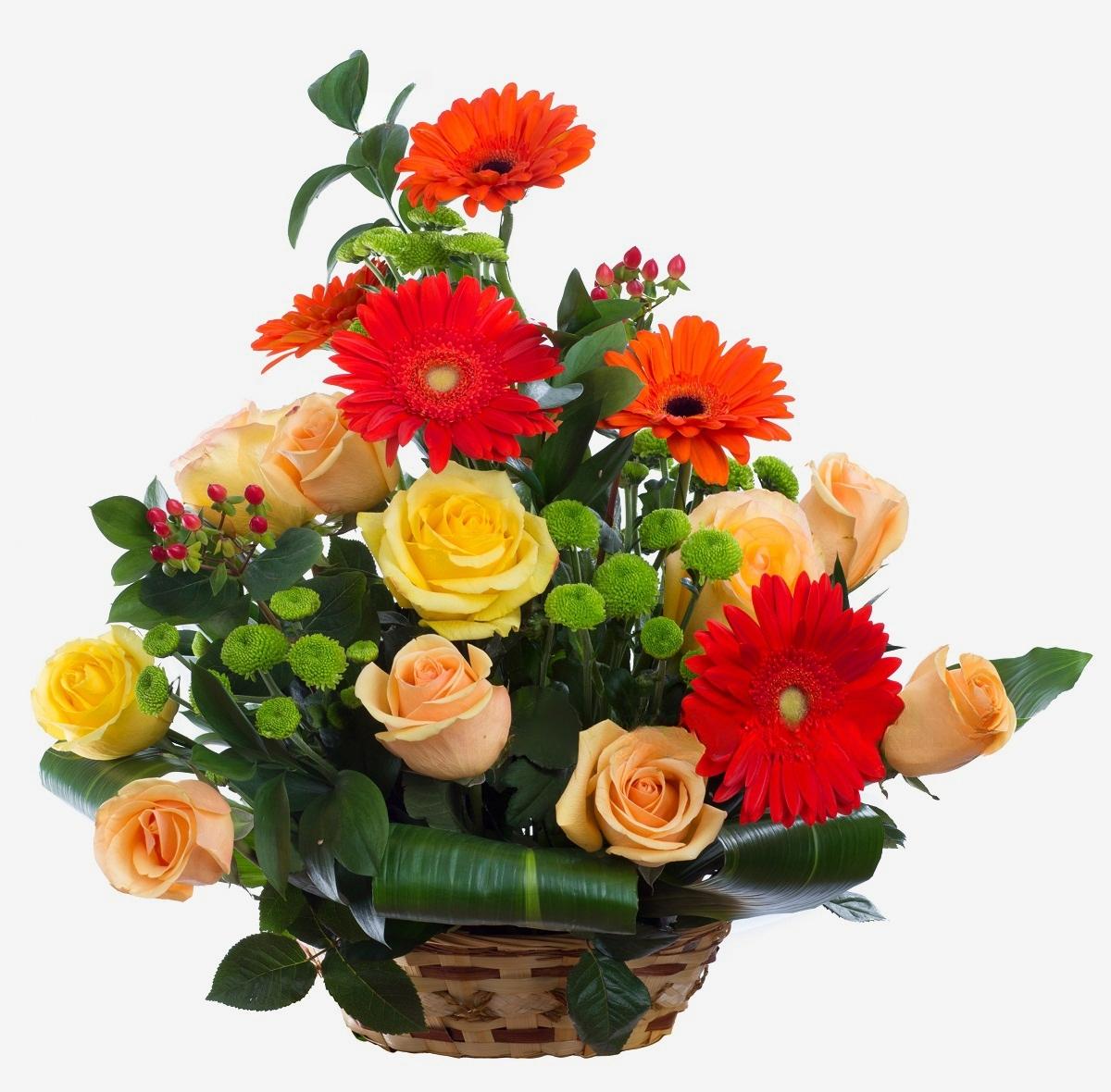 Automne fleuri