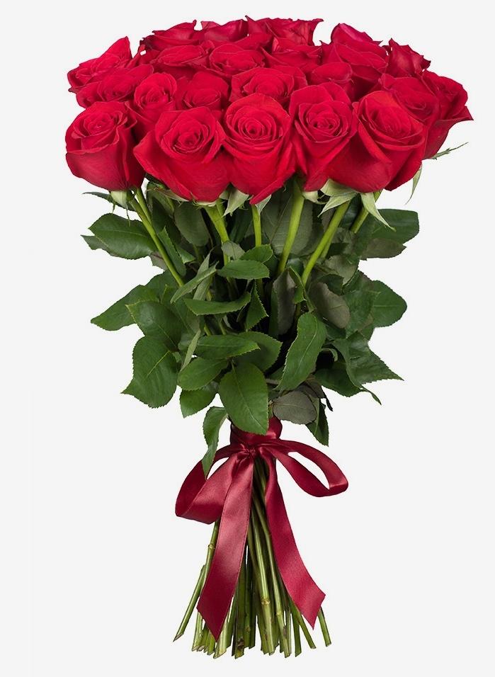 Roses rouges