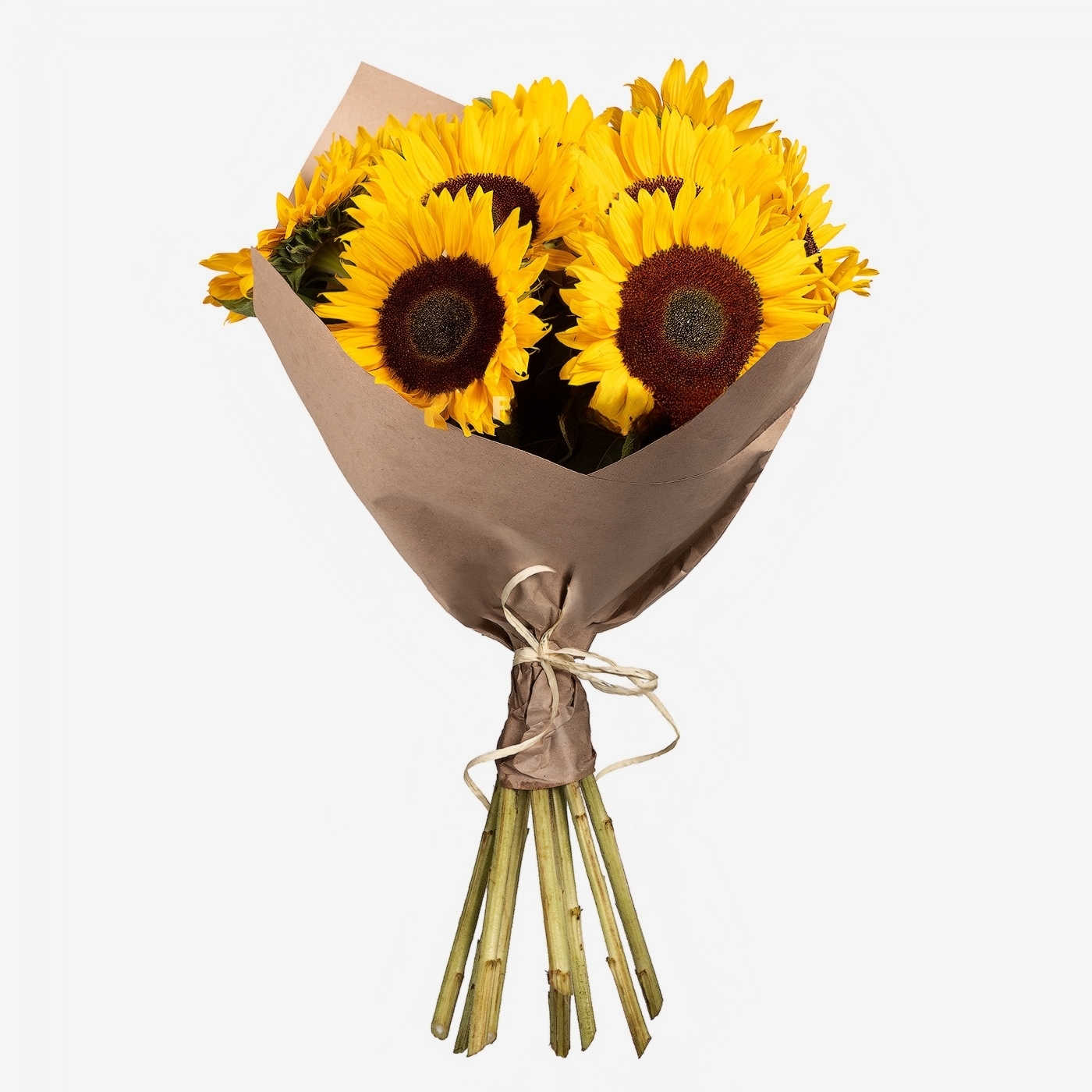 Bouquet de tournesols