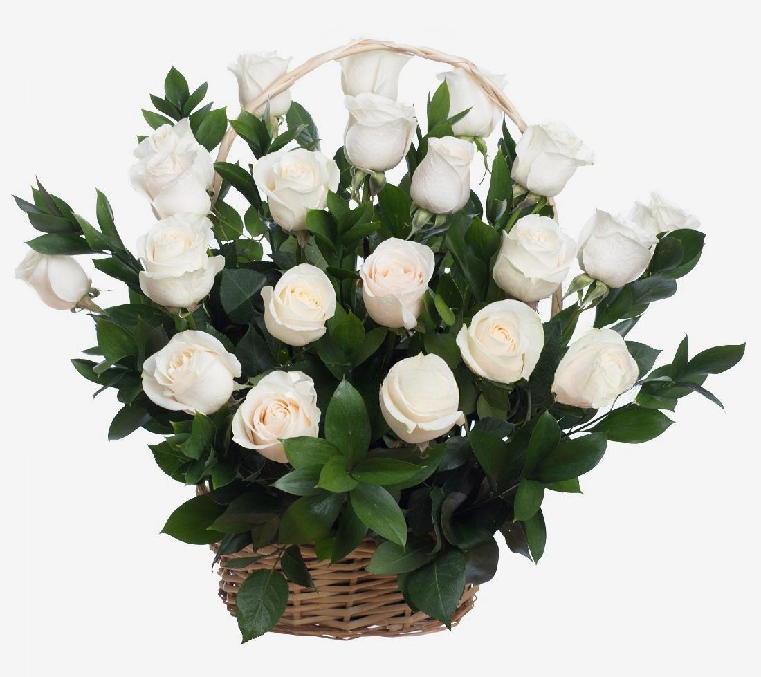 Panier de roses blanches