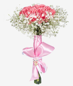For a Little Princess