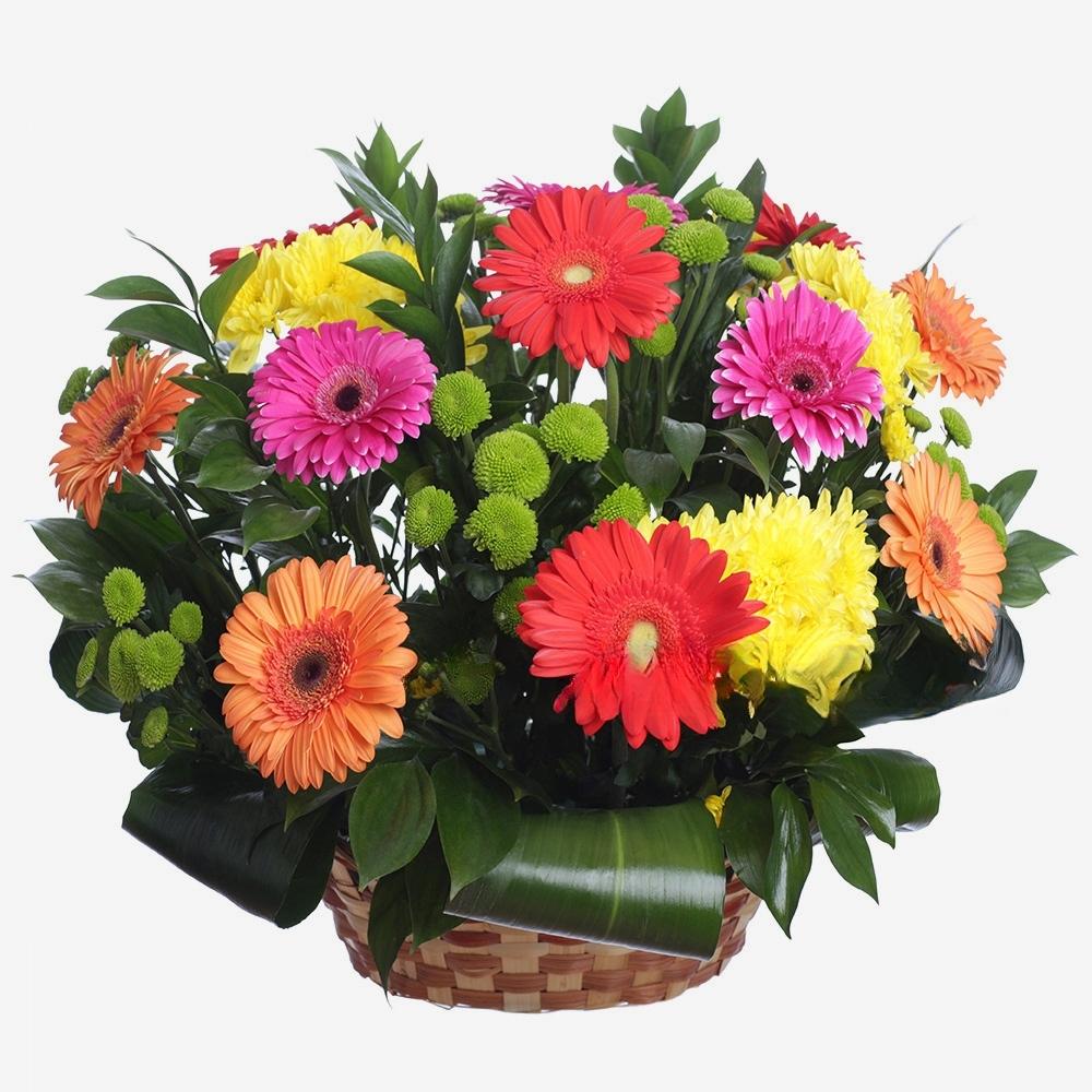 Panier avec Gerberas